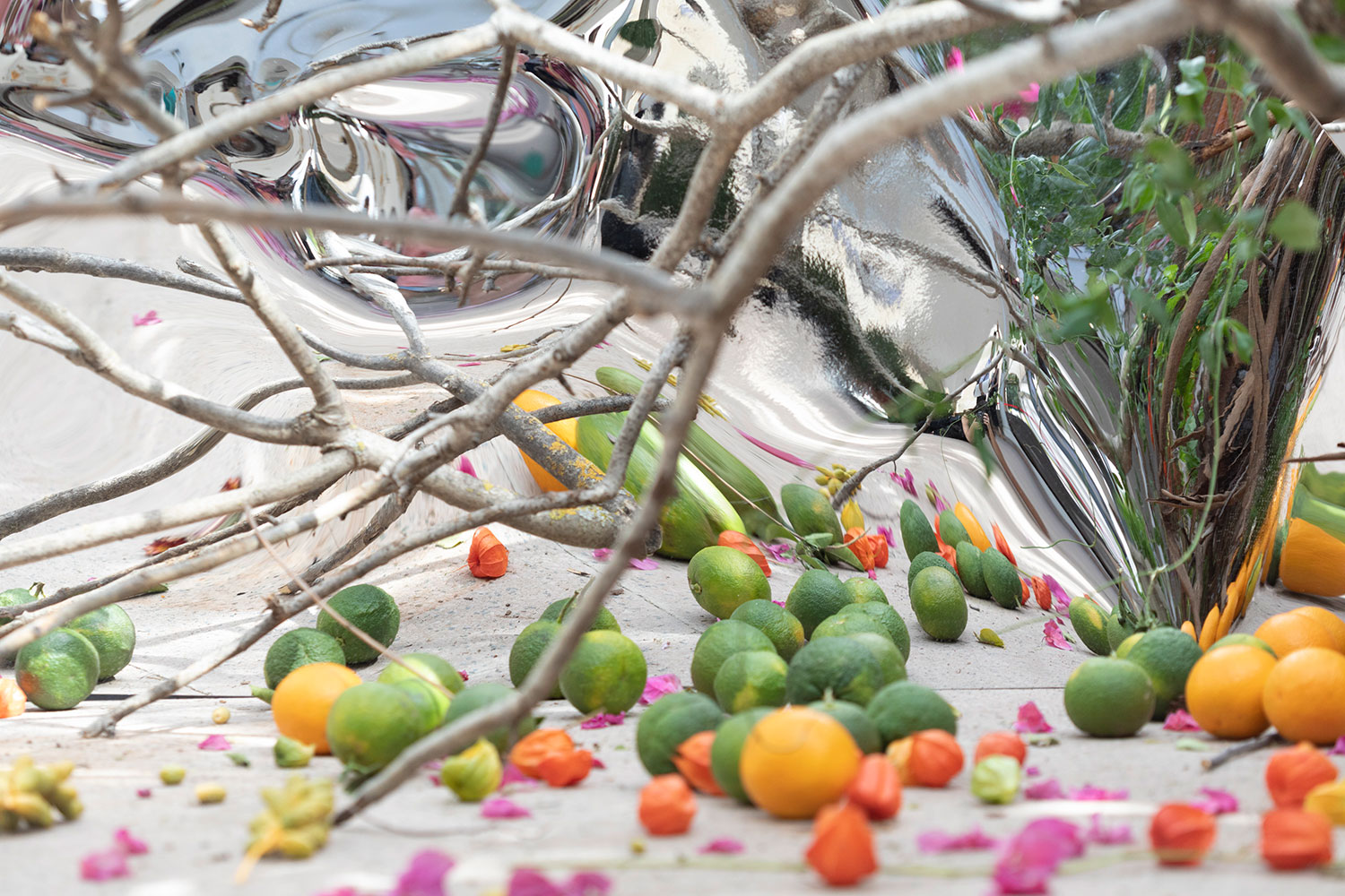 Festival Flora