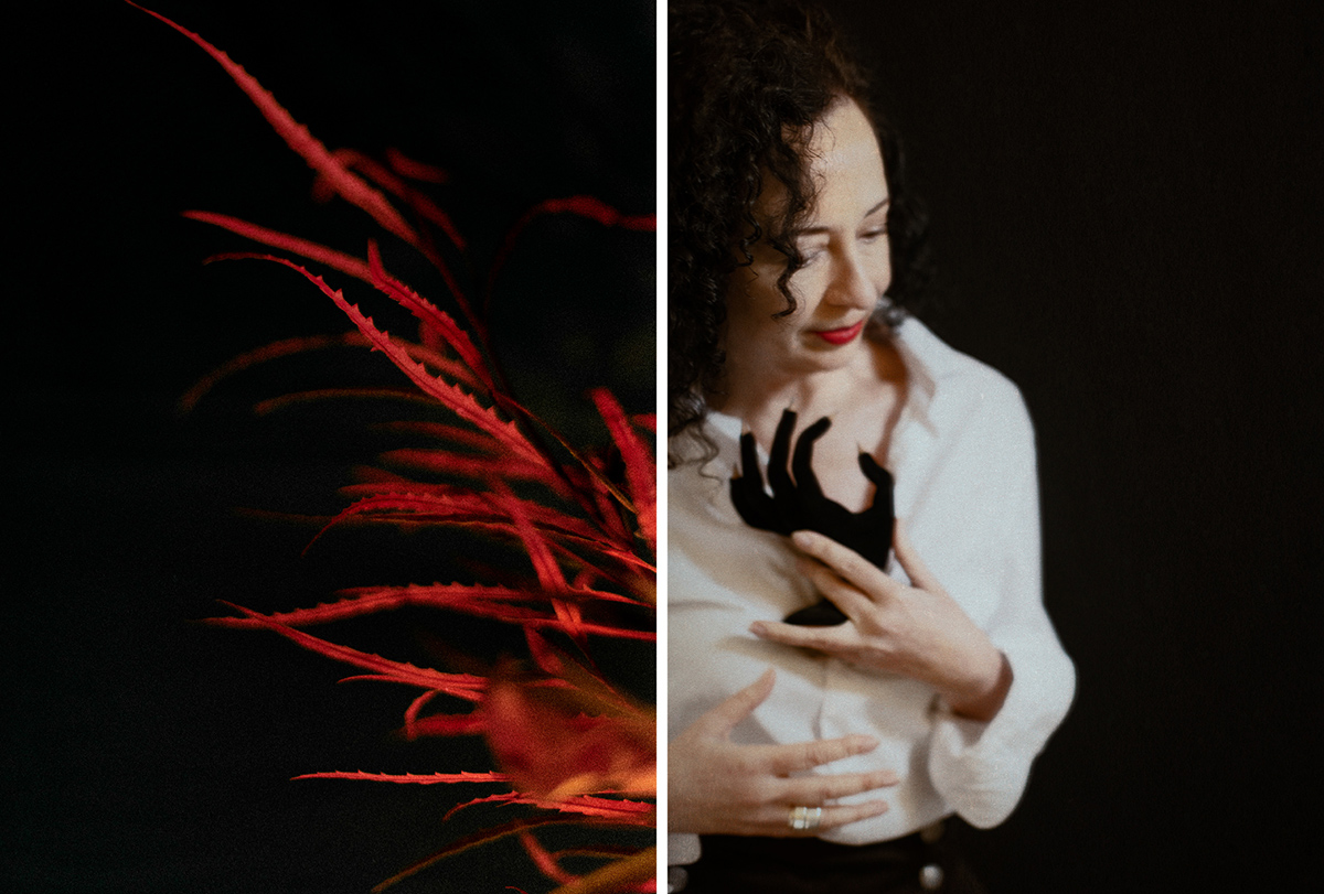 Retratos | Dípticos | Ana Juan (ilustradora)